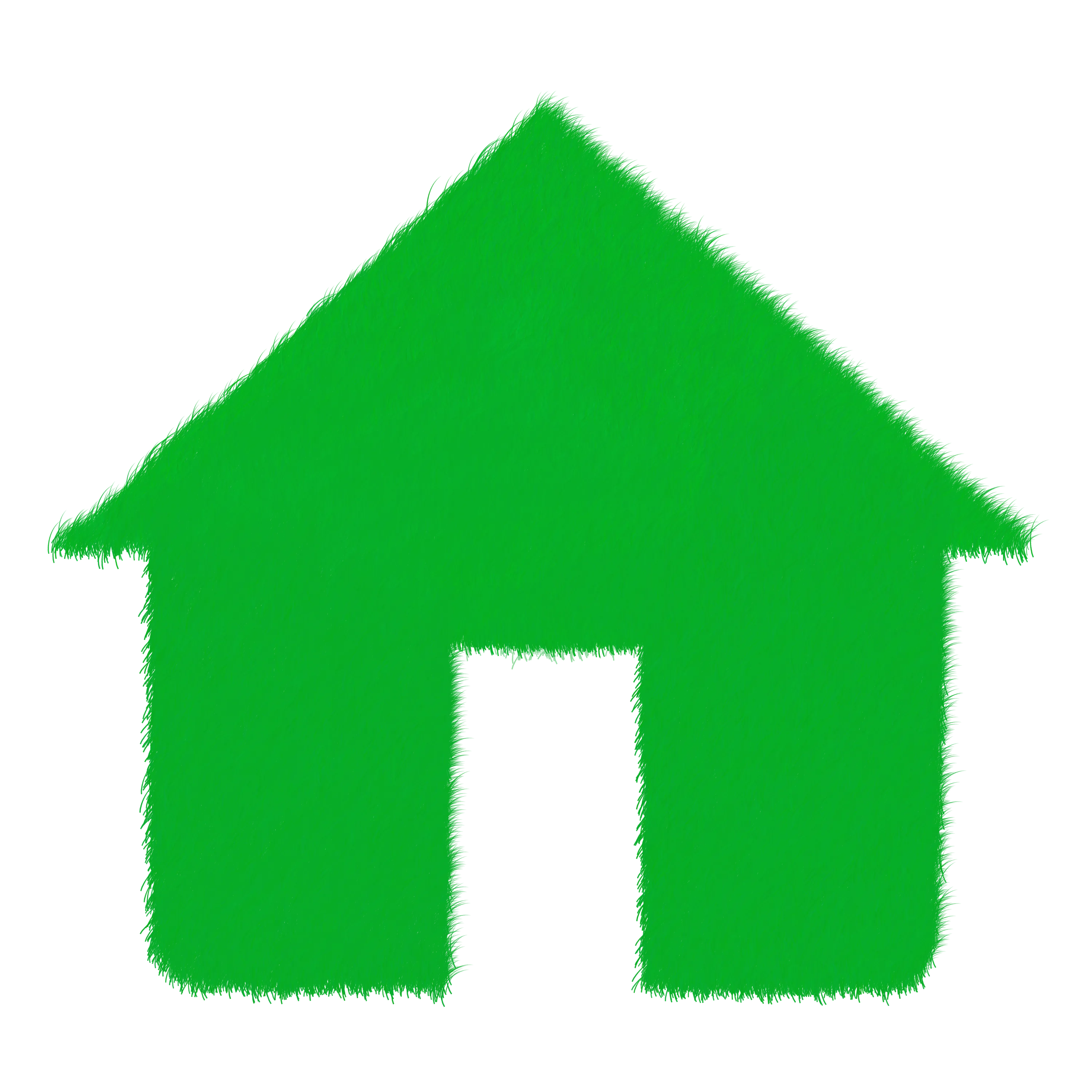 Green, Lawn, Grass, Nature, Echo, Ecology, Ecological, Energy Saving, Sustainability, Savings, Environmentally Sustainable, Power, Blade Of Grass, Blades Of Grass, House, Safety, Dwelling, Roof